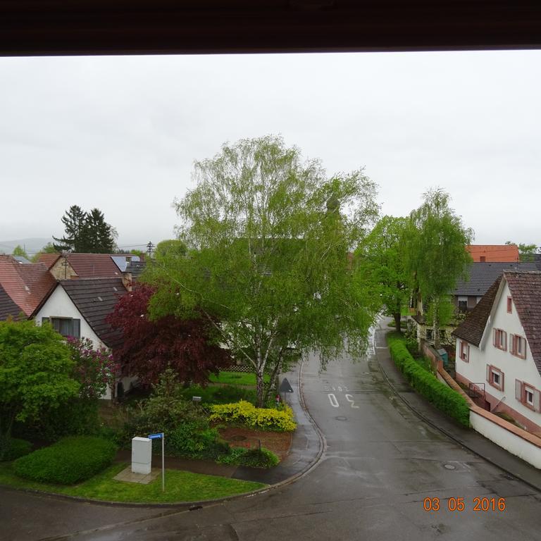 Hotel Einstein Bad Krozingen Extérieur photo